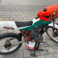 Fantic