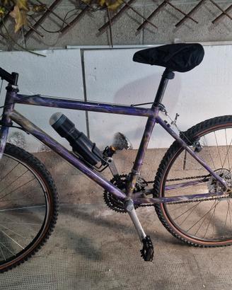 Bici con cambio Shimano
