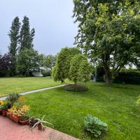 Manutenzione giardino - Taglio manto erboso prato