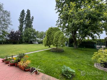Manutenzione giardino - Taglio manto erboso prato