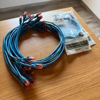 Cavi patch intellinet