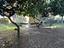 Immagine 23