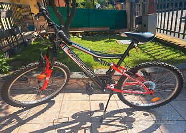Mountain bike ragazzo 22"
