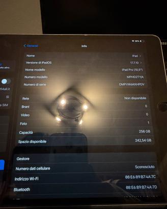 iPad Pro 10.5 256GB Wifi + Cellular