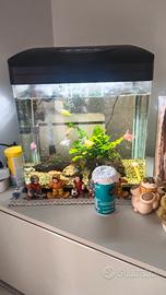 acquario completo con pesci 