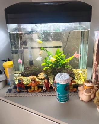 acquario completo con pesci 