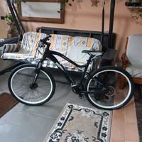 bici elettrica 