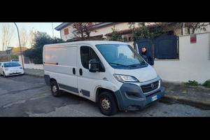 ducato fiat 