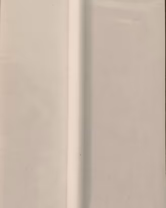 Apple Pencil 2 generazione Originale Apple