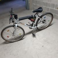 Bici mtb