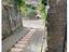Immagine 16