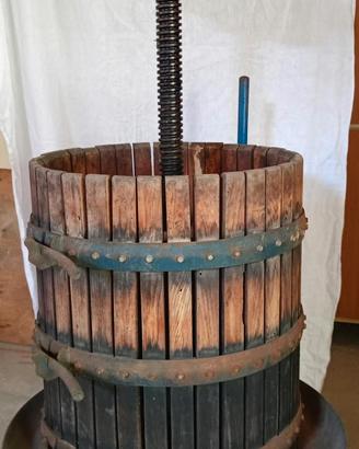 Torchio 50