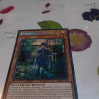 SET 10 CARTE RARA SEGRETA PRISMATICA 25esimo 