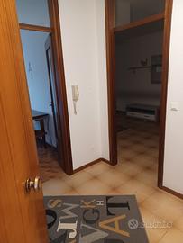 Ampio e luminoso appartamento