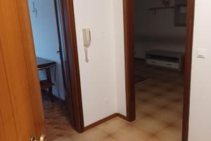 Ampio e luminoso appartamento