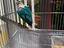 Immagine 5