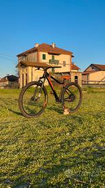 Wheelie Bike