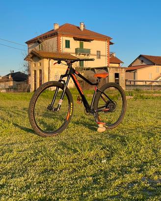 Wheelie Bike