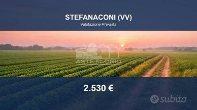 Immobile in asta di 6373 m² a Stefanaconi