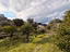 Immagine 25