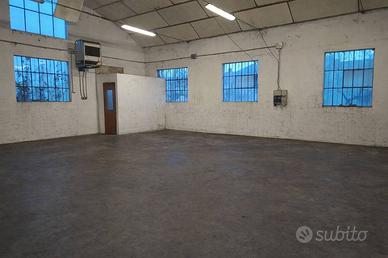 Capannone artigianale con giardino edificabile amp