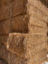 Balloni di avena e loiettto fine