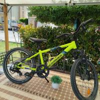bicicletta rockrider taglia 20