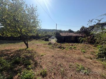 RUSTICO A ORIOLO ROMANO