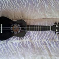 Ukulele con sua sacca custodia tracolla