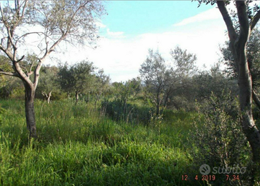 Podere