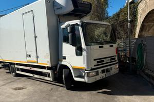 Iveco eurocargo frigo