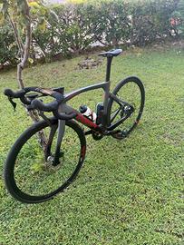 Pinatello dogma f12 dura ace 2021