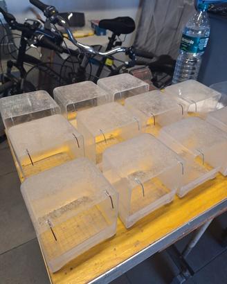 Accessori per canarini