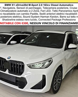 BMW X1 20d xDrive MSport Tetto Navi C.18" Cam M-S