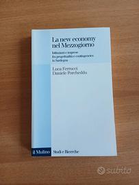 La new economy nel Mezzogiorno