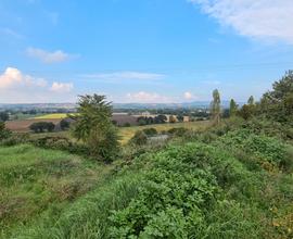 Terreno agricolo di 30 Ha con Colonica ed annessi