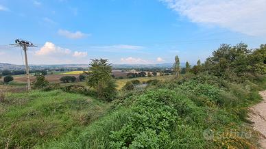 Terreno agricolo di 30 Ha con Colonica ed annessi