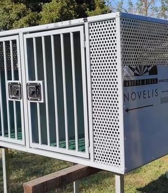 gabbia trasportino kennel