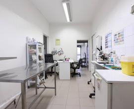 Locale commerciale - Canegrate