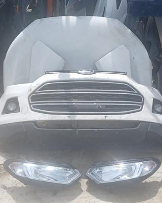 Ricambi anteriori-muso ford ecosport 2012-2017