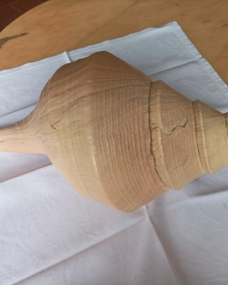 conchiglia da collezione 