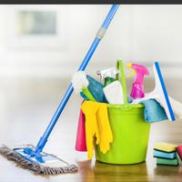 Pulizia di casa