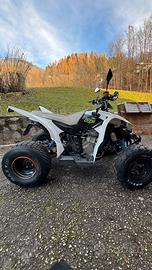 Quad Aeon Cobra 350 2009
