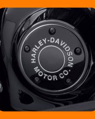COPERCHIO FASATURA H-D TOURING 99-17