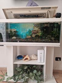 acquario