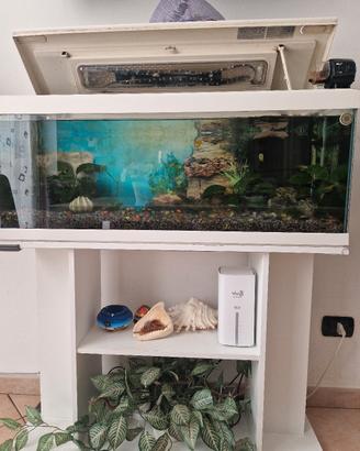 acquario