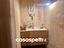 Immagine 26