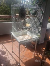 gabbia pappagallini