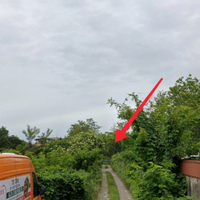 Terreno agricolo m2 1700,00