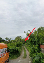 Terreno agricolo m2 1700,00